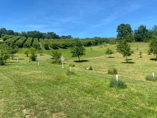 Le parc du Clos des Garrigues